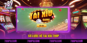 Sơ Lược Về Tài Xỉu 789P